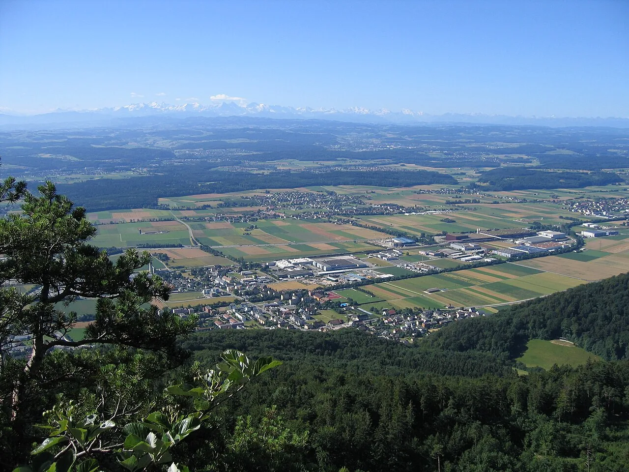 Blick von der Höchi Flue bei Egerkingen Richtung Alpen im Kanton Solothurn